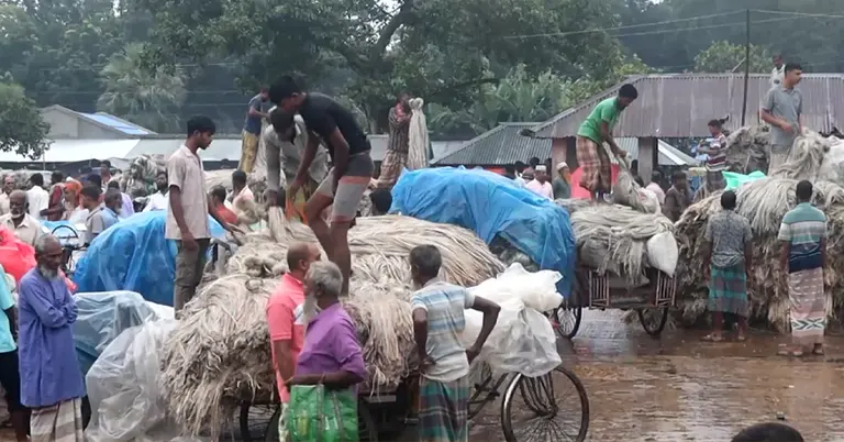 নওগাঁর একটি পাটের বাজার